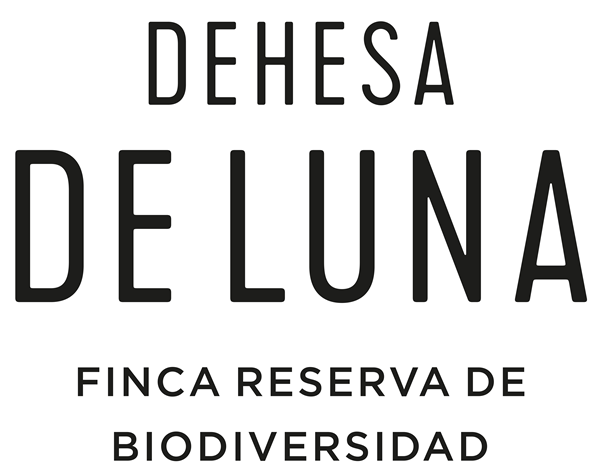 DEHESA DE LUNA Logo