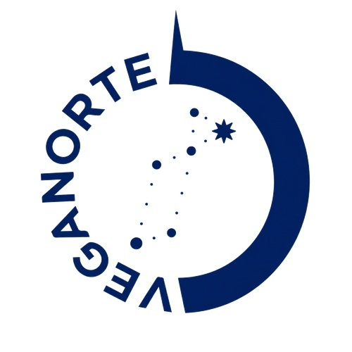 Vinos Vega Norte Logo