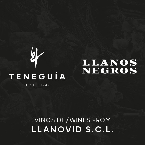 LLANOVID,S.C.L Logo