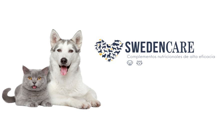 SWEDENCARE SPAIN SL - banner