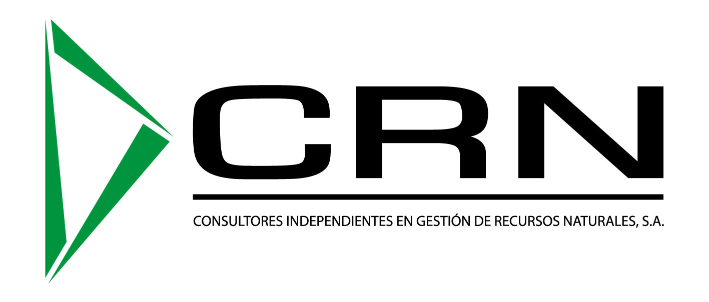 CRN CONSULTORES