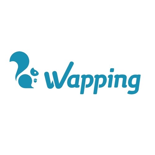 Wapping Networks
