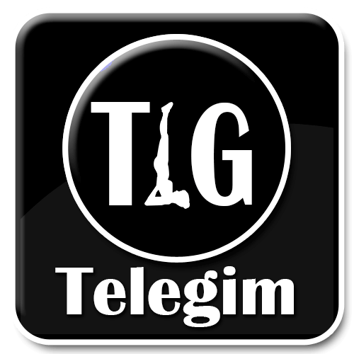 TELEGIM TV Logo
